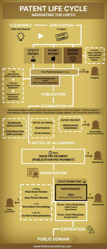 Patent lifecycle infographic